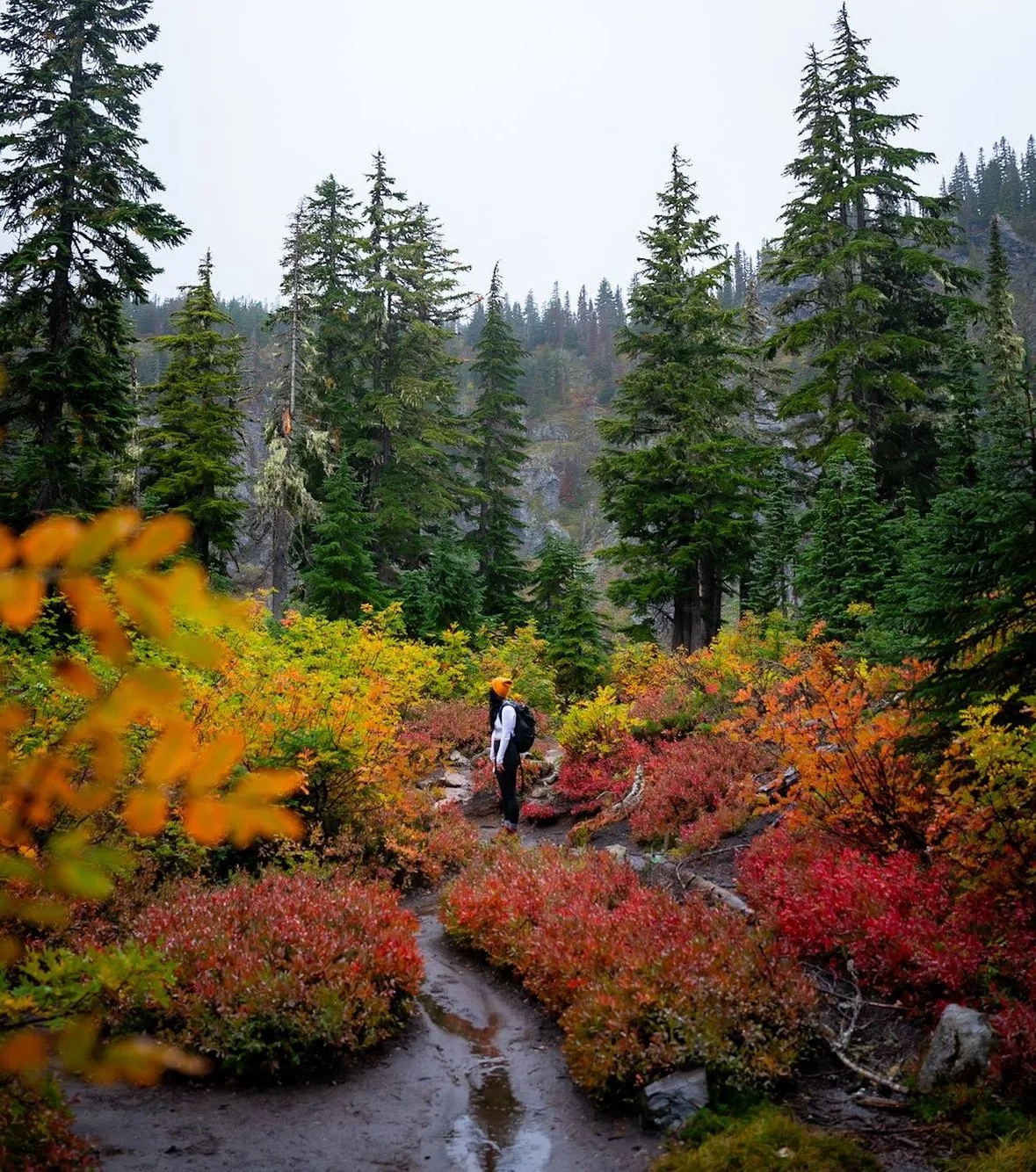 Fall Colors and Autumn Hiking
