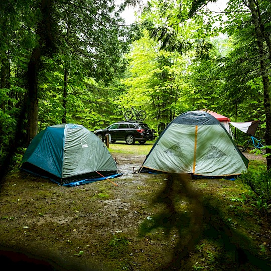 Choosing the Perfect Campsite
