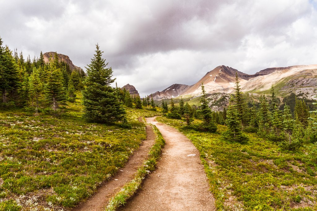 Rocky Mountain Trail