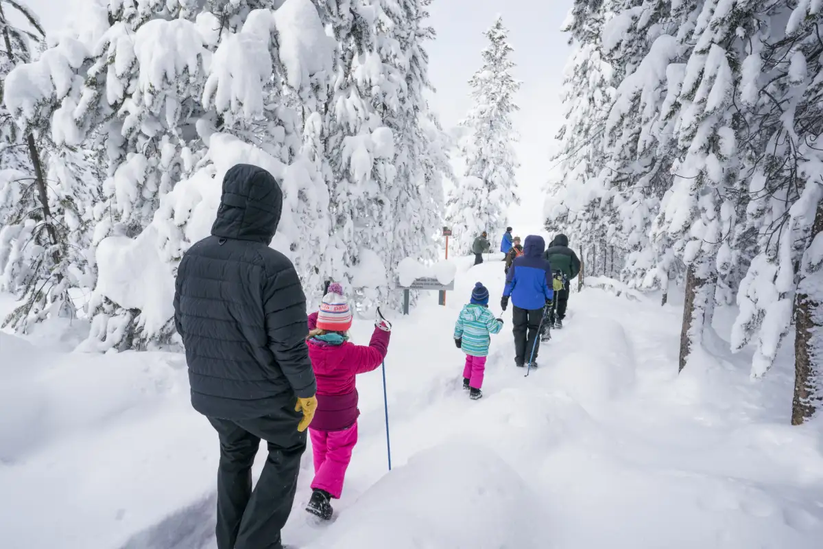 Spring Shoulder Season Planning