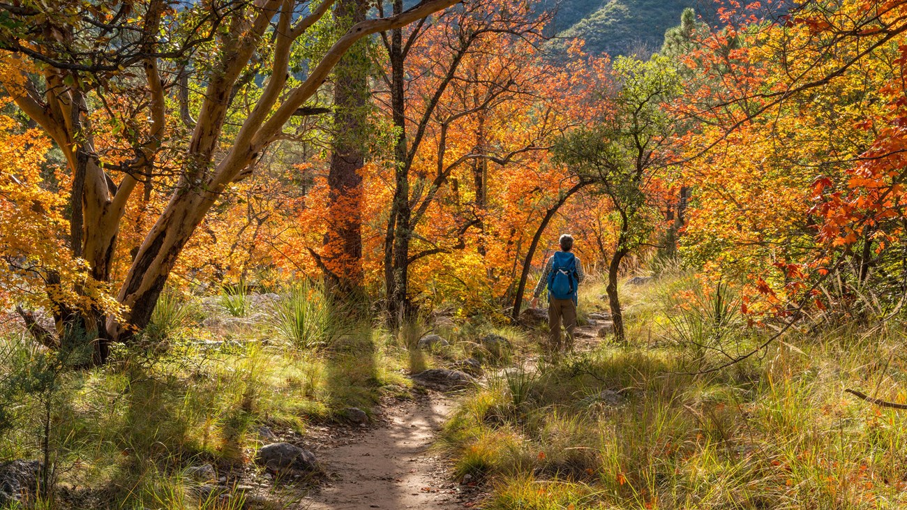 Recognizing and Avoiding Trail Hazards