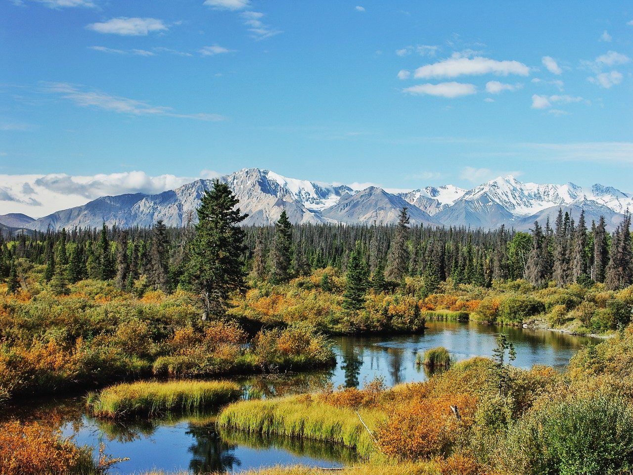Yukon Wilderness